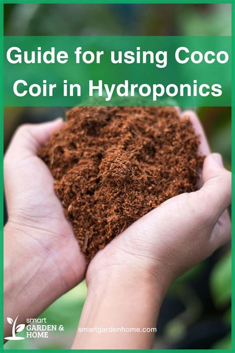 Guide for using Coco Coir in Hydroponics Smart.