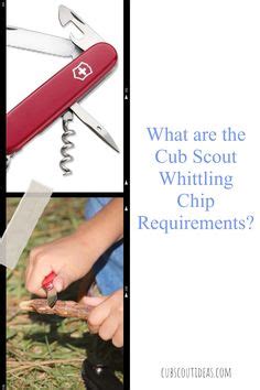 Guide for whittling chip den meeting. - Medical coding online for step by step medical coding 2016 edition access code and textbook package 1e.