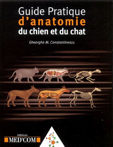 Guide pratique danatomie du chien et du chat. - The complete beginners guide to kissing.