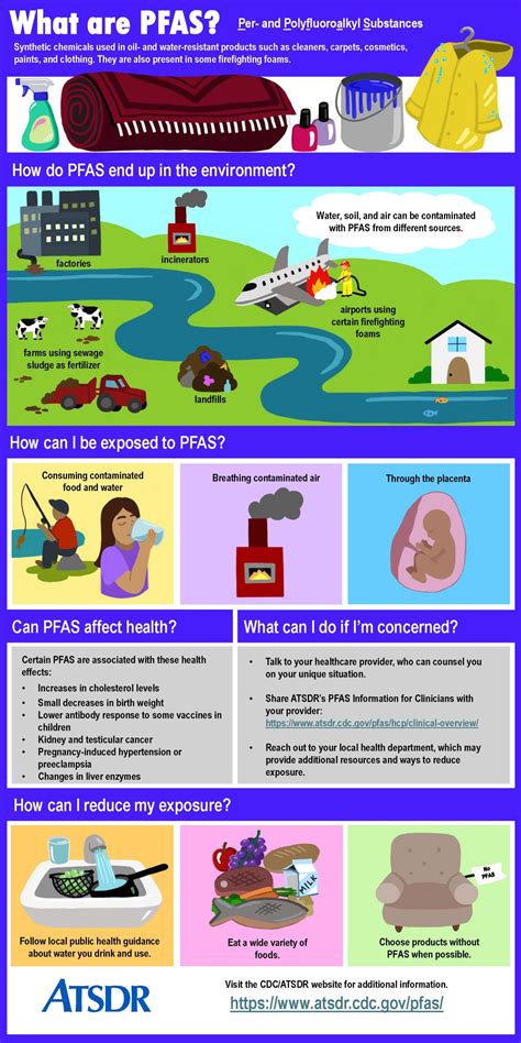 Guide to PFAS and Reducing Your Exposure Everyday Health