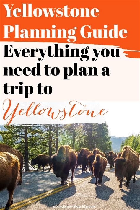 Guide to Planning a Trip to Yellowstone