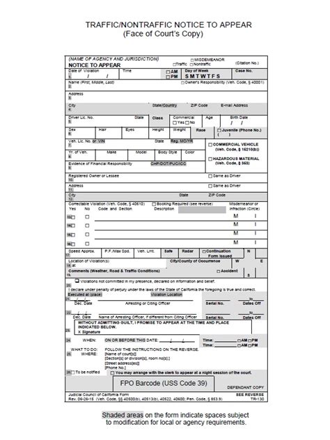 Guide to Reading a SC Traffic Citation