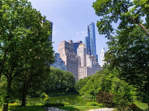 Guide to Trees Trails Architecture in Central Park New York AARP Bulletin