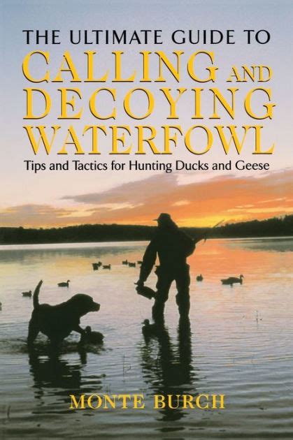 Guide to calling and decoying waterfowl paperback. - Greens king 500 repair manual jacobsen.