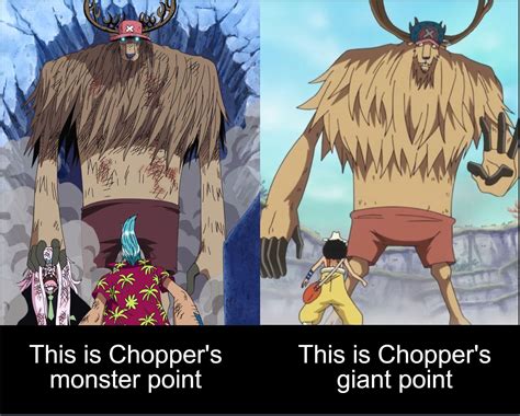Guide to chopper forms OnePiece