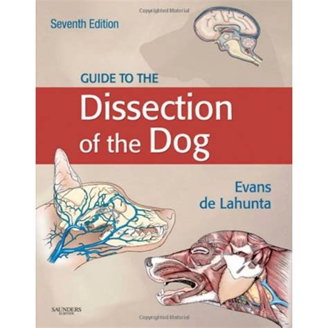 Guide to dissection of dog 7ed evans. - Guide dorl clinique et tha rapeutique.