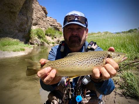 Guide to fly fishing in utah. - Canon eos 5d mark ii manual english.