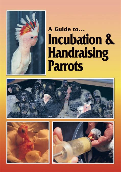 Guide to incubation handraising parrots a guide to. - Wholesale drug distributor policies and procedures manual.