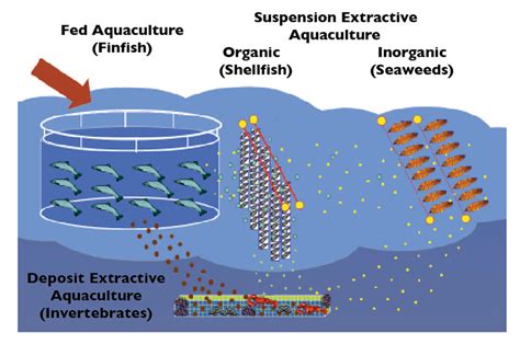 Guide to integrated warm water aquaculture. - Data center for beginners a beginners guide towards understanding data center design.