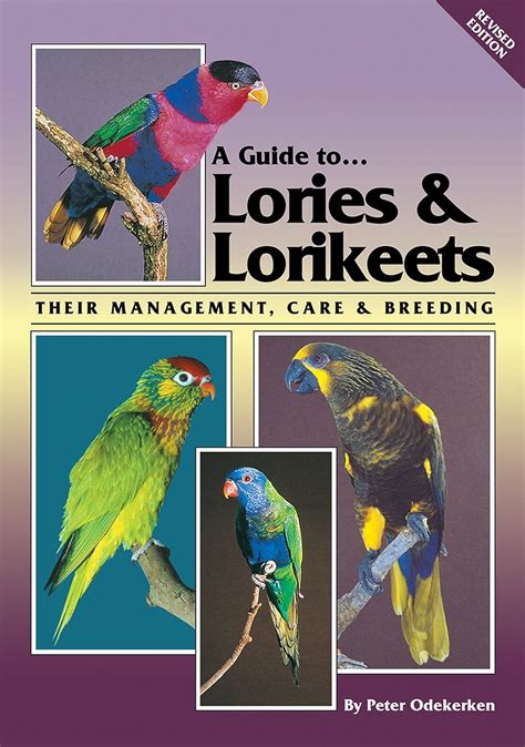Guide to lories and lorikeets their management care and breeding. - Guild wars 2 game guide book.