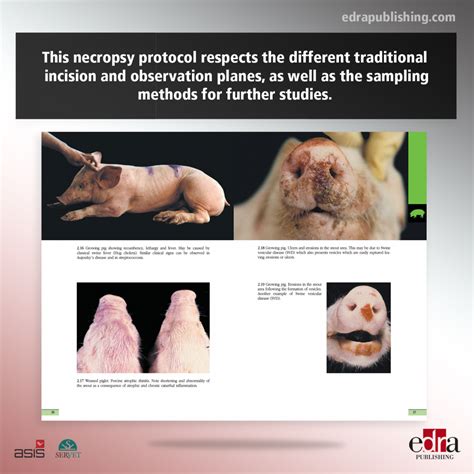 Guide to necropsy diagnosis in swine pathology. - By geoffrey keppel design and analysis a researchers handbook 3rd edition.