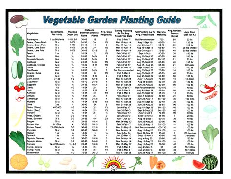 Guide to ohio vegetable gardening vegetable gardening guides. - Manuale di officina iveco eurocargo 75e15.