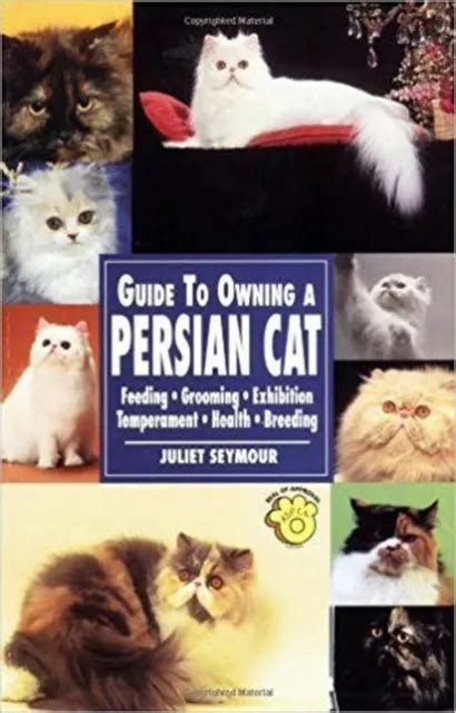 Guide to owning a persian cat. - Lawn chief briggs and stratton manual.