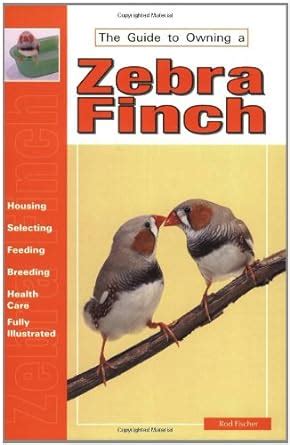 Guide to owning a zebra finch. - Ip network lab manual answer key 50.
