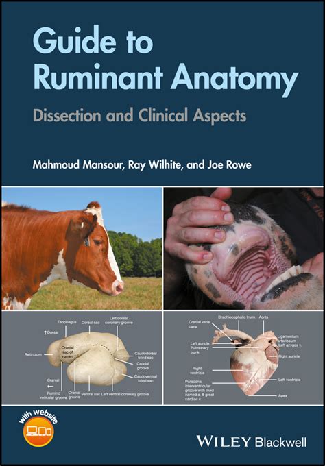 Guide to ruminant anatomy based on the dissection of the. - Handbuch für island, die färöer und jan mayen..