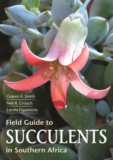 Guide to succulents of southern africa by gideon smith. - El libro de las horas contadas.