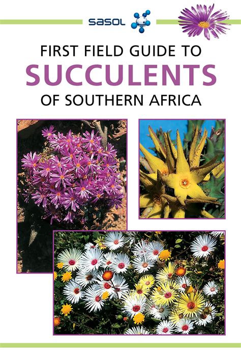 Guide to succulents of southern africa. - Nissan patrol y62 infiniti qx56 2010 2012 workshop manual.
