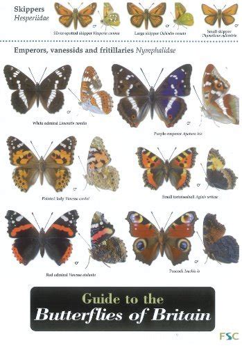 Guide to the butterflies of britain field studies council occasional publications. - Saksbehandling for byggemeldinger ob byggkontrollen i kommunene.