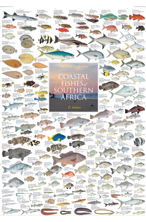 Guide to the common sea fishes of south africa. - No sugar jack davis study guide.