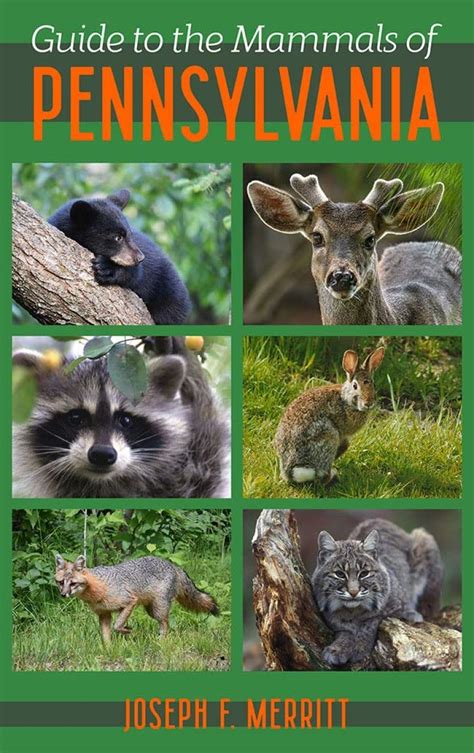 Guide to the mammals of pennsylvania. - Practical guide to labour law 6th edition.