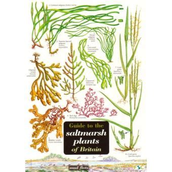 Guide to the saltmarsh plants of britain. - Rich dad education real estate training manual.