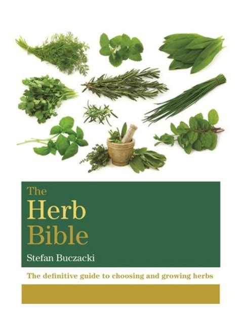 Guide z stefan buczackis per erbe aromatiche. - Proces wytwarzania rdzeni i form odlewniczych metodami dmuchowymi.