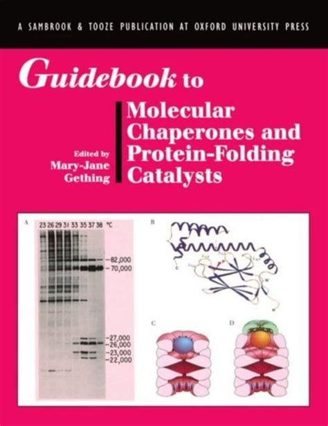 Guidebook to molecular chaperones and protein folding catalysts. - Revision to marpol annex ii practical guide.