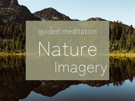Guided Imagery Scripts Garden