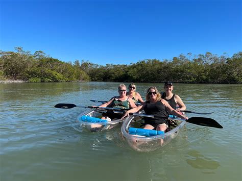 Guided Island Eco Tour - CLEAR or Standard Kayak or Board - Trip …