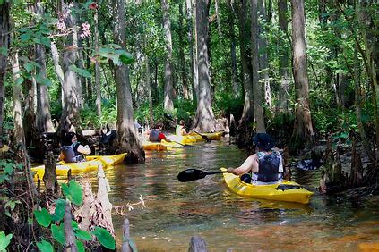 Guided Kayak, Canoe, Stand Up Paddle Tours in Kissimmee …