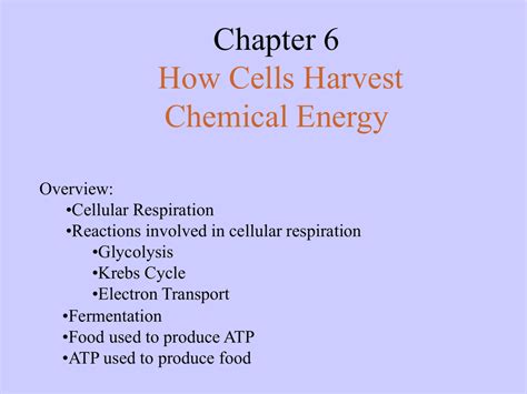 Guided notes how cells harvest energy answers. - Jiambalvo managerial accounting 5th edition solutions manual.