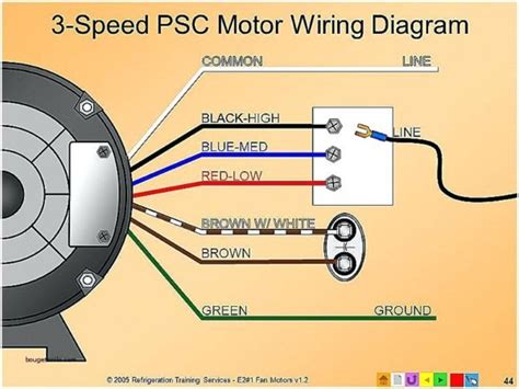 Guided reading activity 10 3variable speed fan motor wiring guide. - Polaris download 2004 manuale di riparazione motoslitta pro x 440 550 600 700 800.
