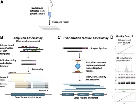 Guidelines for Validation of NextGeneration SequencingBased Oncology
