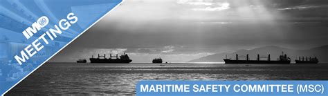 Guidelines for the maritime security committees and plans