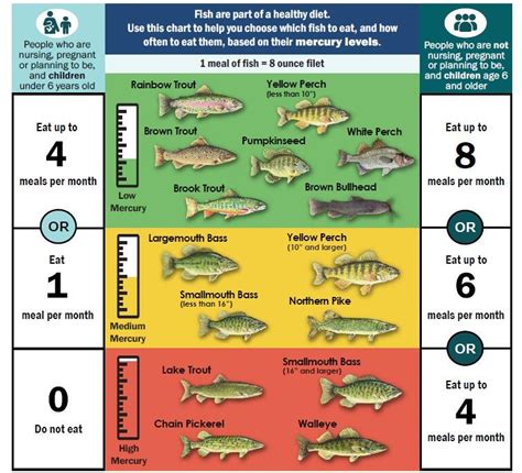 Guidelines to Avoid Eating Fish High in Mercury