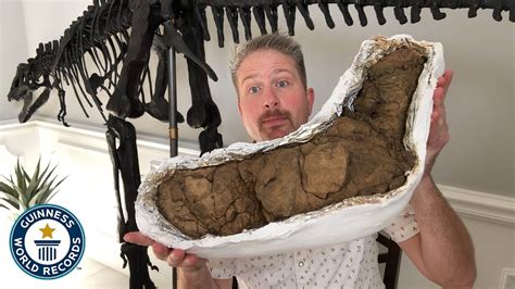 Jacksonville resident George Frandsen now owns the Guinness World Record for largest private collection of fossilized poop.. But this isn't just any old poop. These are coprolites, and the organic .... 