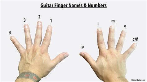 Guitar fingers. First, put your hands together in front of your chest, in “prayer position,” fingers pointed upward. Keeping your palms and fingers together, move your elbows gently upward and away from your body. You should feel a little stretch in your forearms. Your fingers may begin to point toward your body. 
