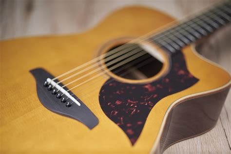Guitarras - 7- Yamaha F310. Una de las guitarras Yamaha más vendidas del mercado. Recomendada a todo tipo de público gracias a su económico precio. Si estás buscando una guitarra acústica barata para aprender y que, además, tenga las características de un modelo de gama media, esta es tu mejor opción. Es una guitarra acústica para principiantes ...