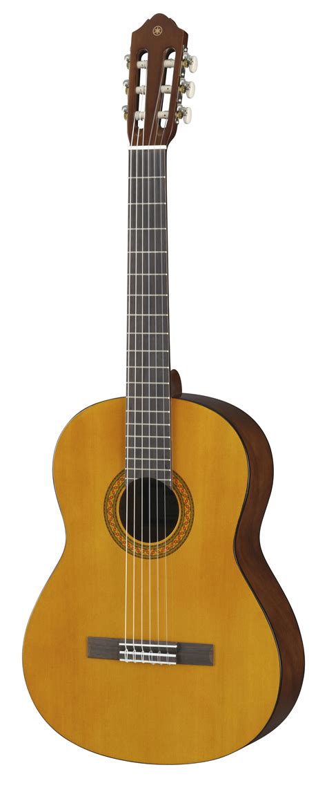 Guitars for beginners. In my opinion, Fender’s affordable range guitars are primarily suited for beginners. However, intermediate players looking to expand their collection will find more than enough enjoyment in this model to justify its cost. We also included Fender CD-60SCE to the list of top acoustic-electric guitars under $300. 