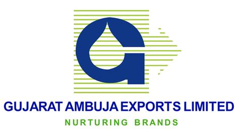 Gujarat Ambuja Exports Stock Price