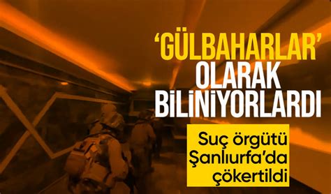 Gulbaharlar Halı ve Koltuk Yıkama