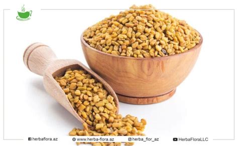 Guldefne Halı ve Koltuk Yıkama