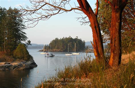 Gulf Islands Anchorages » AHOY British Columbia