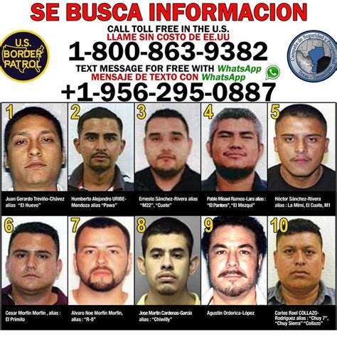 The Gulf Cartel would need help to defeat Los Zetas, and with little room for maneuvering within Mexico's tightly woven criminal landscape, they turned to 'El Chapo' Guzman and the Sinaloa Federation. The Sinaloa Federation accepted, identifying a chance to exploit the Gulf cartel's niche to counter the growing competition from the Zetas.. 