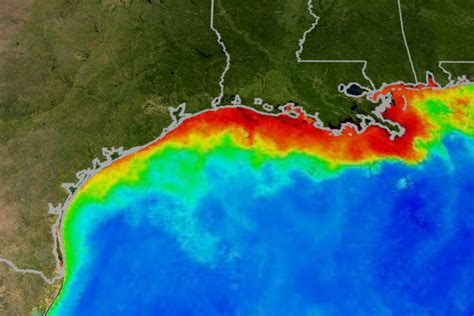 The current Gulf of Mexico marine heat wave has been present for several months, beginning in February/March of 2023. NOAA’s experimental marine heat wave forecasts indicate a 70-100% chance that extreme ocean temperatures will persist in the southern Gulf of Mexico and Caribbean Sea through at least October 2023. We have …