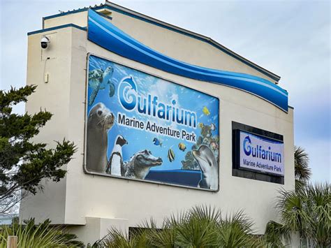 Gulfarium okaloosa island. The Gulfarium C.A.R.E. Center has been awarded a grant for $20,306.25 from the Florida Sea Turtle Grants Program. The C.A.R.E Center received the grant to help purchase a new digital radiograph (DR) x-ray machine. This new item will benefit sea turtles in NW Florida and Alabama. Since purchasing the DR x-ray plate the C.A.R.E. Center … 