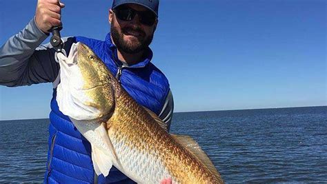 Check out the best fishing spots in Gulfport, Mississippi. Anglers have logged in Fishbrain over 2,532 catches for Red drum, 1,535 catches for Largemouth bass, 1,399 catches for Black drum and many more species in the Gulfport area.