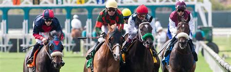 Gulfstream Park– Horse Betting Guide, Track Details & History