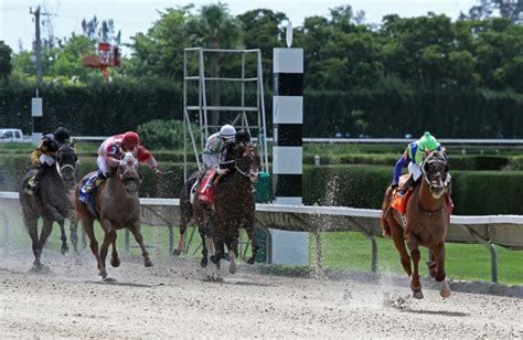 Gulfstream Park Entries and Gulfstream Park Results updated live for all races, plus free Gulfstream Park picks and tips to win.