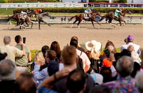 Gulfstream Park suspends racing one day; new …